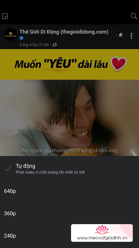 Mẹo xem Video chất lượng cao trên Facebook khi cáp biển bị cá mập cắn