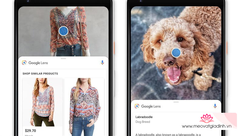 Những tính năng cực hay trên ứng dụng tìm kiếm Google Lens