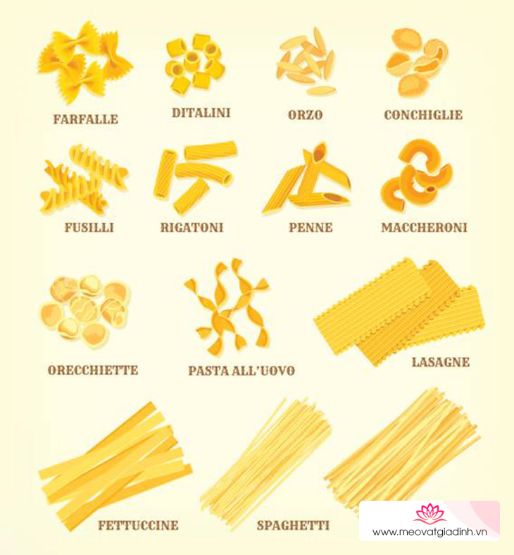 Các loại pasta cơ bản