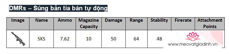 Súng bắn tỉa bán tự động