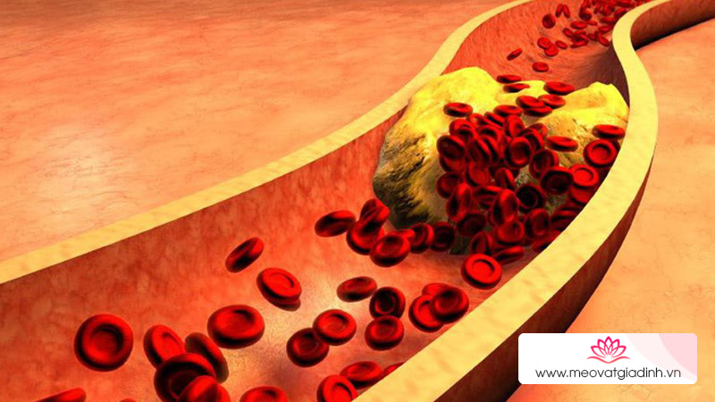 giúp giảm lượng cholesterol