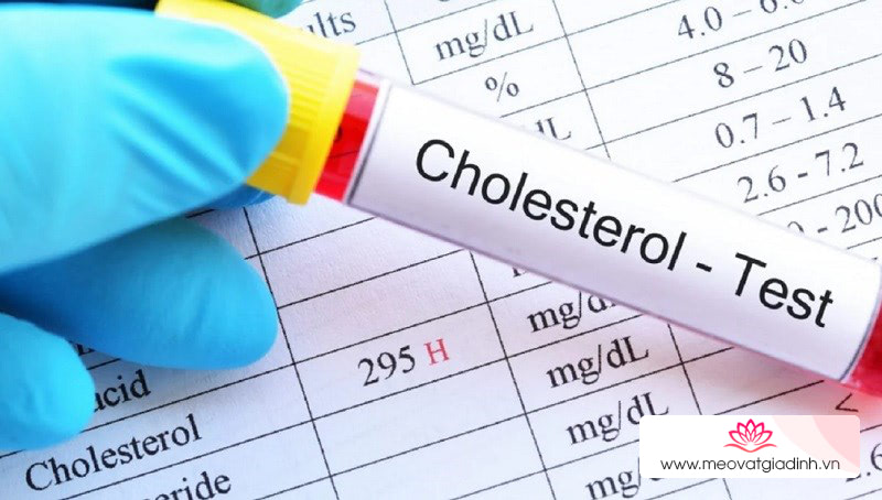 Rau muống giúp giảm cholesterol, giảm chất béo trong cơ thể