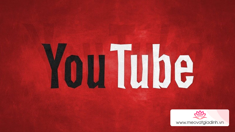 Cách tải video trên facebook, youtube về điện thoại trong vài giây