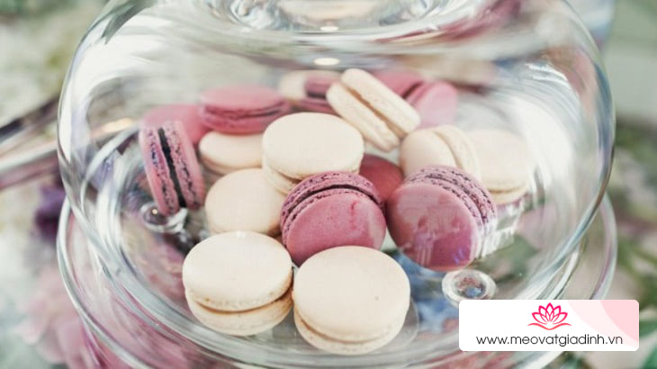 Bảo quản bánh macaron trong hộp đựng thực phẩm kín