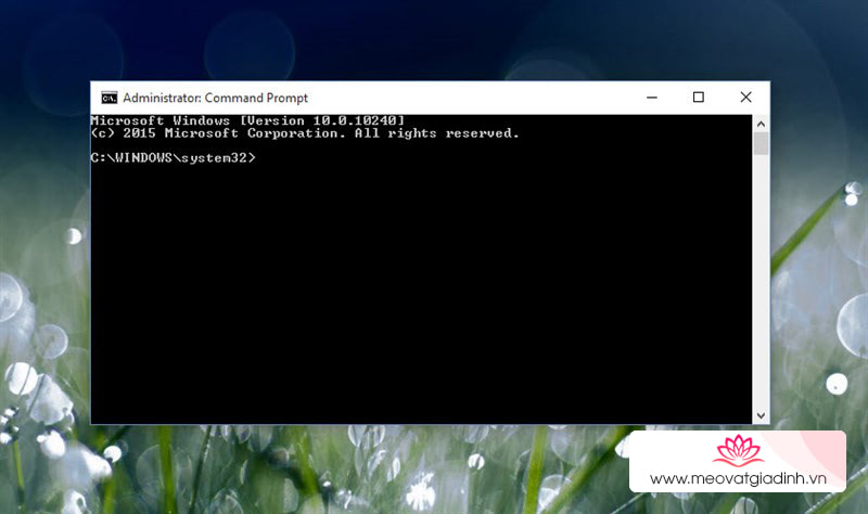 Đối với ứng dụng Command prompt