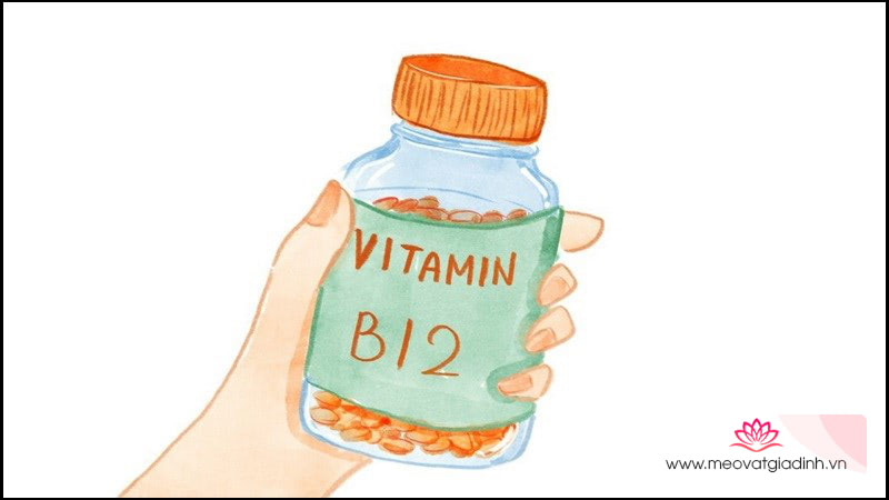 Thịt đỏ bổ sung vitamin B12