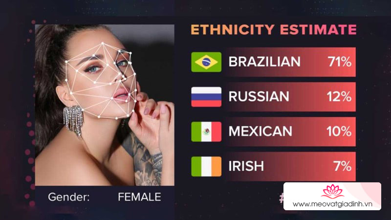 Thử ngay ứng dụng phân tích khuôn mặt AI để xem bạn giống người nước nào