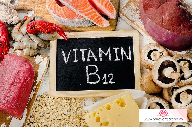 Vitamin B12 là gì?