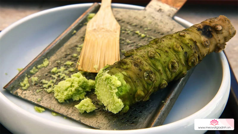 Wasabi là gì? Khác gì với mù tạt? Phân biệt wasabi thật giả và các món ăn