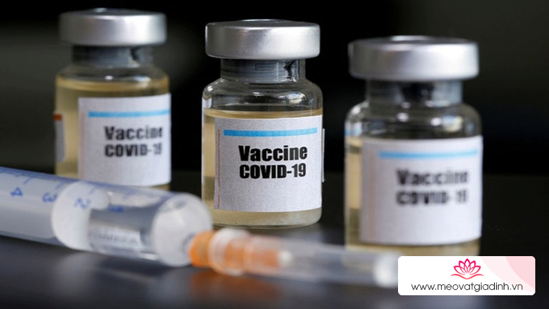Khuyến cáo của WHO về vắc xin COVID-19 dành cho trẻ em