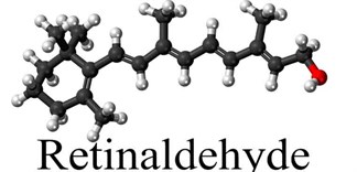 Retinaldehyde là gì? Công dụng và những lưu ý khi sử dụng retinaldehyde
