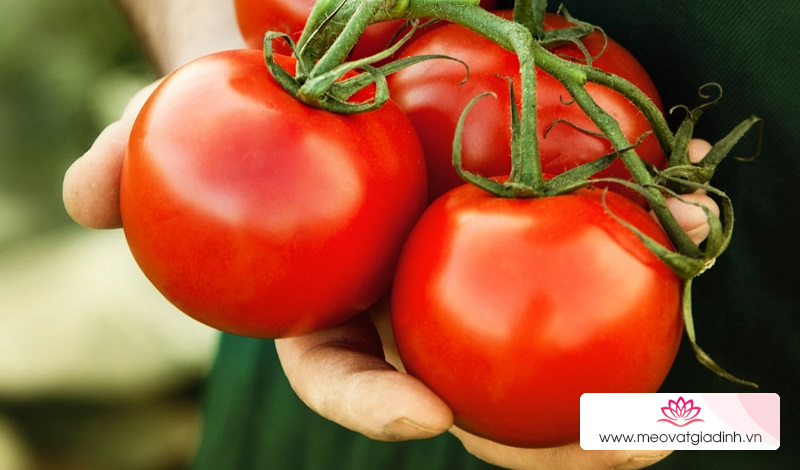 Cà chua giúp loại bỏ nhờn trên da