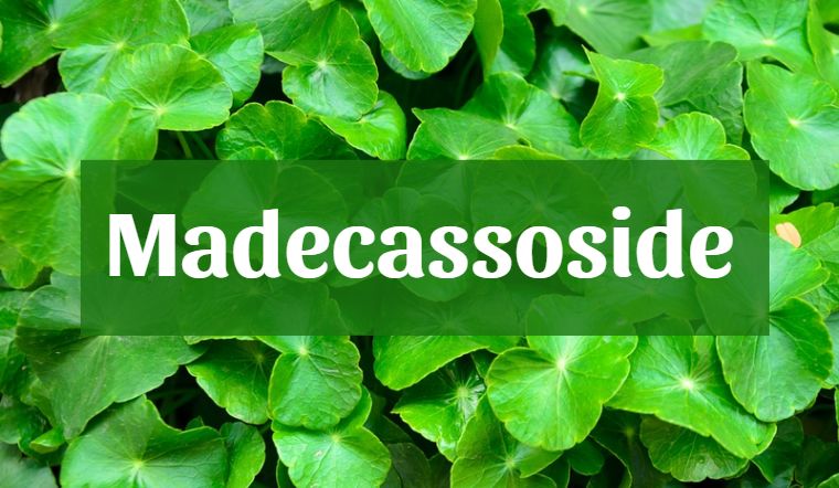 Madecassoside – thành phần trị mụn lành tính từ thiên nhiên cho da
