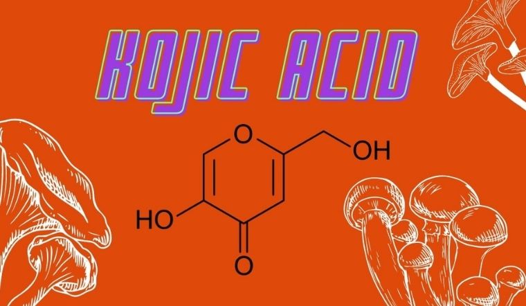 Kojic Acid là gì? Tác dụng, cách dùng Kojic Acid trong mỹ phẩm