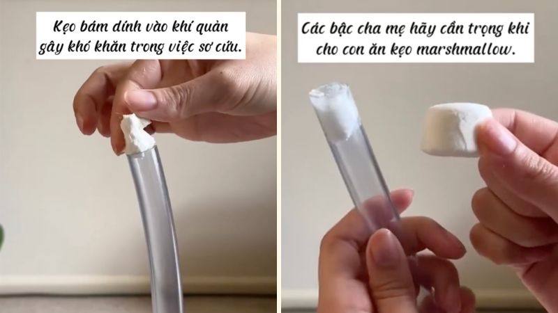 Thí nghiệm của cô Nikki Jurcutz