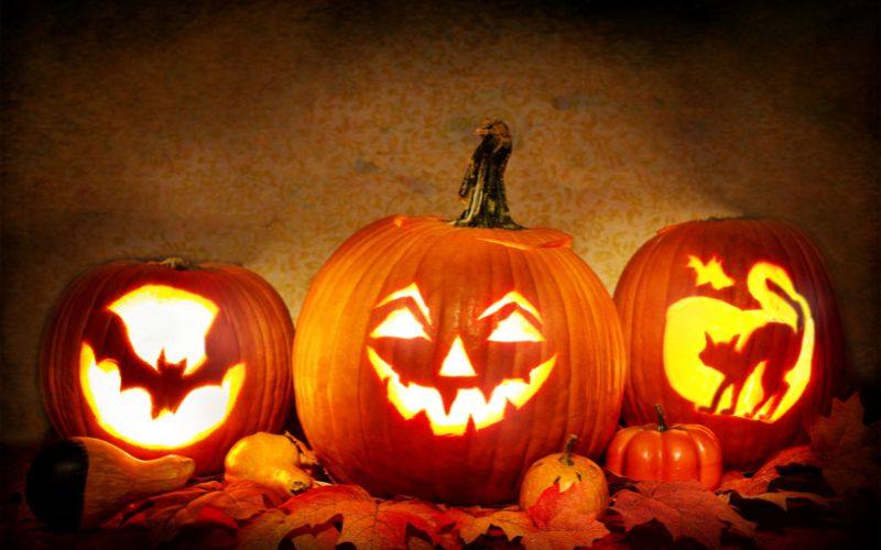 Tặng quà cho người thân ngày Halloween