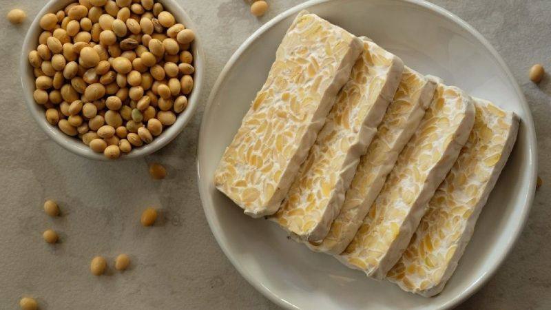 Giá trị dinh dưỡng của tương nén (tempeh)