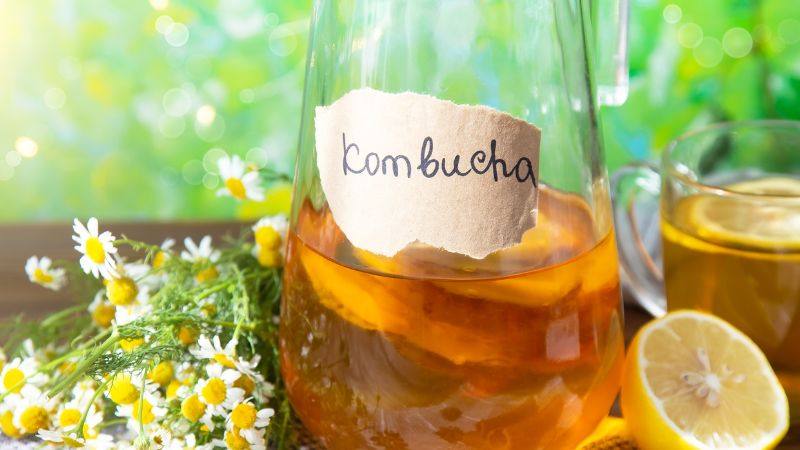 Trà Kombucha