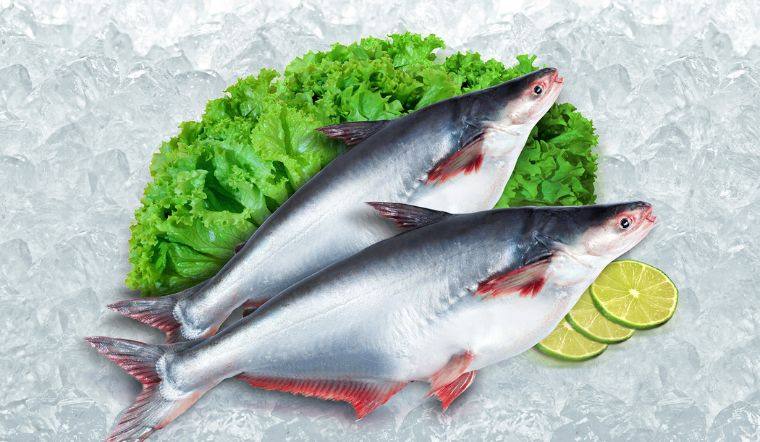 Cá basa: Nguồn dinh dưỡng dồi dào cho mẹ bầu và trẻ em